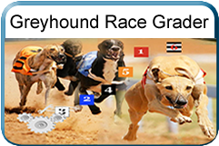 Greyhound Race Grader