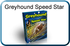 Greyhound Speed Star